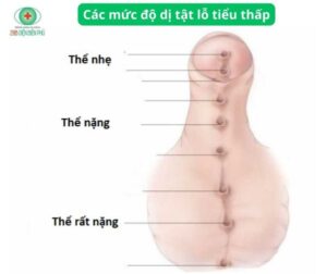 452914353 1281552413201686 3929831846400786566 n