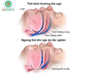 453411357 1288003355889925 1304854916799690119 n