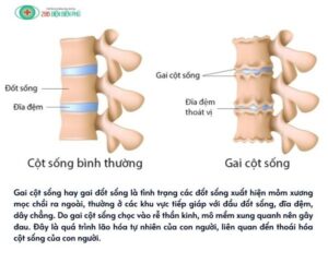 455609174 1298170324873228 1578767052767396035 n