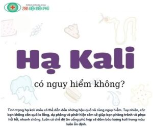 455870353 1297455494944711 4005137516941098474 n