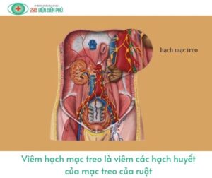 456225207 1300381804652080 3499347796923316035 n