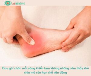 456236169 1301142011242726 5344717823025784355 n