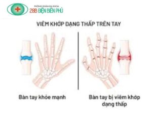 459201697 1317659042924356 6743414696245814508 n