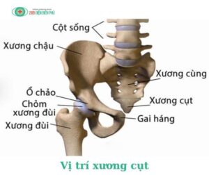 459561372 1318568936166700 2217860047427465947 n