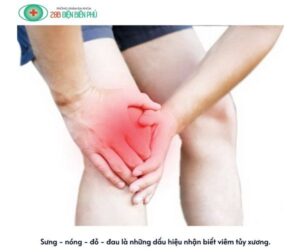 459650567 1319353669421560 2303238987434308947 n