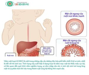 459680110 1319358386087755 7996963474638366961 n