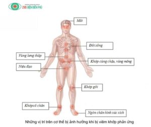 460271043 1321757602514500 8729706214544820512 n