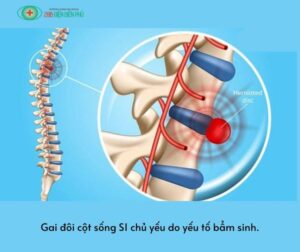 460335962 1323392999017627 427772417256904389 n