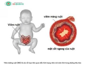 460600572 1322583852431875 7485673605591991381 n