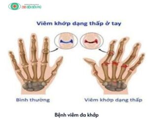 460864244 1325021318854795 677073828443873691 n