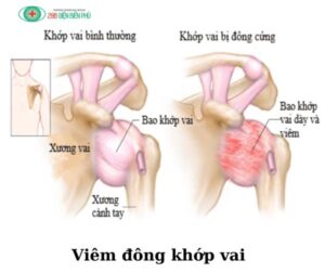 461102309 1328451805178413 8826940287898614245 n