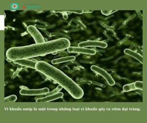 461248976 1327574868599440 2334761993104839909 n