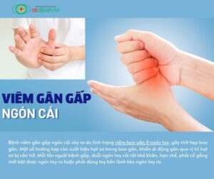 461302732 1328458148511112 1240898136916822444 n