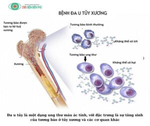 461323012 1329386735084920 9070434681059314565 n