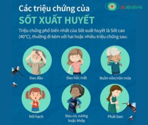 461369862 1331042634919330 4685588618628990296 n