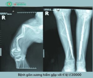 461418545 1329393458417581 3923258920439311968 n