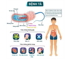 461545070 1331037951586465 5352586393231156595 n