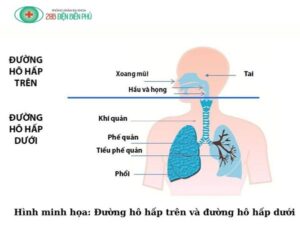 461658362 1332739004749693 9090919597473443729 n