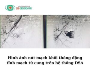 464106049 1351238349566425 6982714763800088856 n