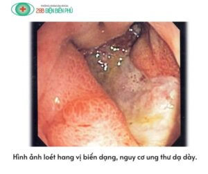 464480793 1354352002588393 4026934314222292307 n