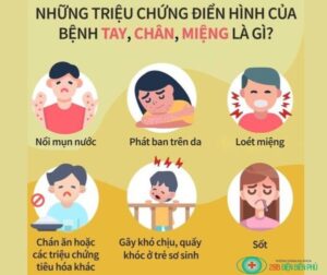 464630474 1354997065857220 6694046881459703273 n