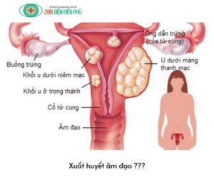 468326730 1379411516749108 4437643585181611351 n