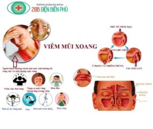 471629209 1405146177508975 7086574709932362336 n