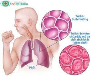 474580085 1424771758879750 8249353220765023946 n