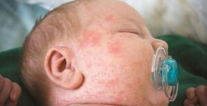 479498492 1441618617195064 3267525426261146956 n