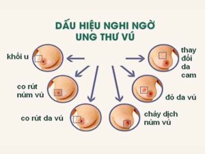 480221062 1451342526222673 3979490206688914265 n