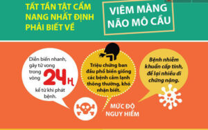 480596776 1447954306561495 3434807265499451028 n