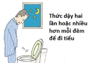 481680856 1458298535527072 8233624162484034196 n