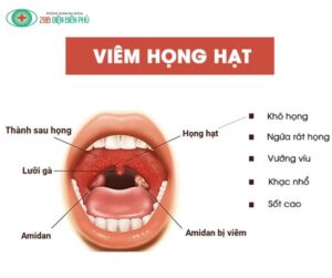 483647226 1463548875002038 4147129955438878479 n