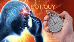 484003232 1467246097965649 3016911155271041610 n