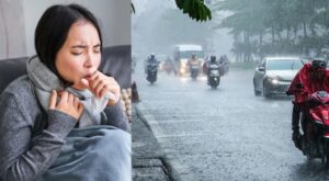 499823106 1530061771684081 1829329162079138038 n