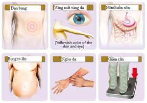 509421704 1557685455588379 5284818776845163239 n