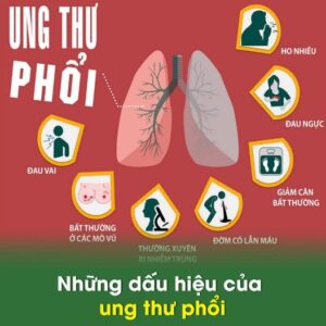 509424743 1557686472254944 8556604455226905057 n