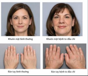 616823468 1749921373031452 7178433267689808326 n