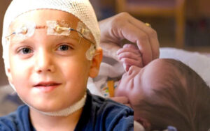 650246994 1796187111738211 6679284759016319963 n