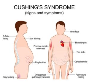 656240030 1807824557241133 6285776183116538193 n