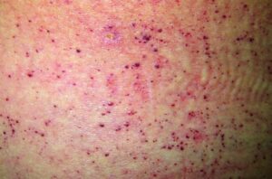 656358582 1807819420574980 5473174168784311545 n